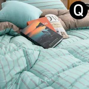 해피니 마크 소프트마이크로 차렵이불 퀸 Q (민트)