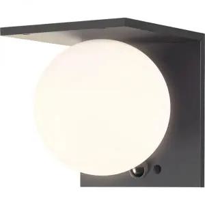 코스트코 타카쇼 태양광 LED 센서 등 - 벽 부착형 원형