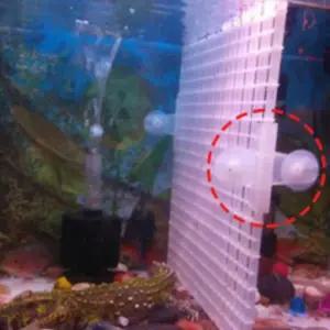 고무흡착 고정대 어항칸막이 수조용 2p 루바망 치어분리용