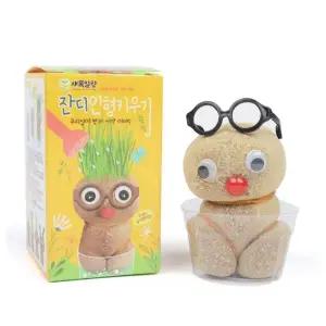잔디인형키우기 유치원 초등 수업 새싹 잔디 인형 토피어리 화분 키우기 만들기 랜덤 1개
