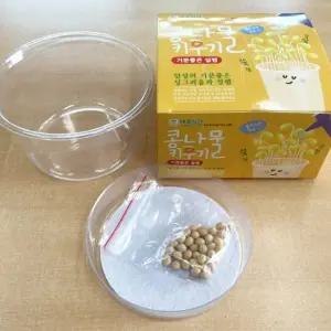 콩나물키우기키트 어린이집 학교 집에서 식물 수업 콩나물 재배 키우기 기르기 세트 키트