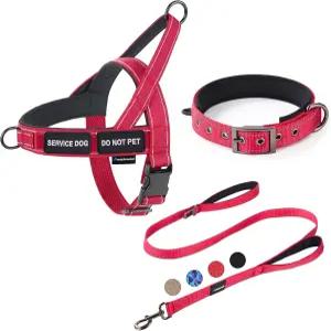 Annchwool 노 풀 도그 하네스 헤비 듀티 반사 칼라 및 목줄 세트-이중 핸들 자동차 안전벨트 클립-걷기