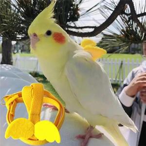 앵무새 조류 하네스 가죽 끈 세트 물린 방지 훈련 야외 비행 밧줄 Cockatiel 작은 새 용품