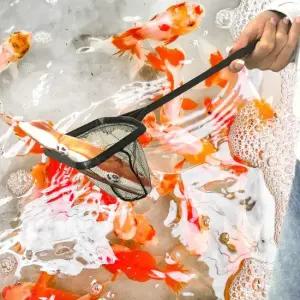 사각 소형 뜰채 촘촘한 어항 미니