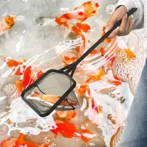 사각 어항 미니 촘촘한 뜰채 중형