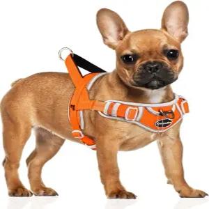 어드벤처모어 소형견 하네스(오렌지색) 간편한 조작 손잡이가 있는 당김 반사 통기성 조끼 걷기 훈련용