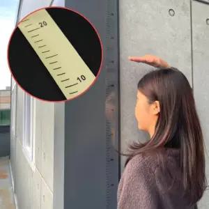 붙이는 스티커 키재기자 투명      RAM