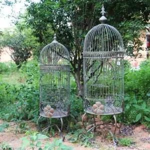 앤틱 테라스 화분 마당 가드닝 식물