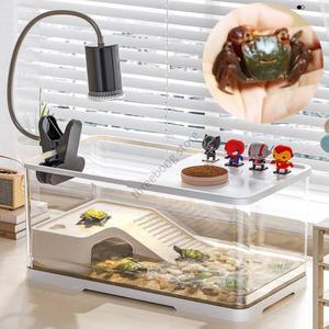 도둑게키우기 도둑게 사육장 기본옵션 화이트