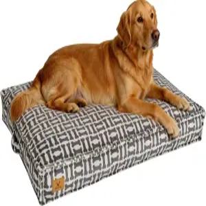 쉽게 잡을 수 있는 손잡이가 강아지 침대 - 파쇄된 메모리 폼 애완동물 탈착식 및 세탁기 사용 가능 커버