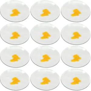 EISCO 12PK 시계 안경 6인치(15cm) - 비커 및 플라스크용 커버 뚜껑 증발 접시 접지 가장자리로 광택