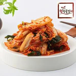 [신세계라이브쇼핑]함평골김치 감칠맛 풍부한 전라도 맛김치 5kg
