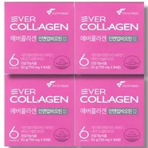 [건강나라] 에버콜라겐 인앤업비오틴 업 750mg 84정 4박스