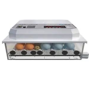 거위 그린부화기 병아리 닭 자동 오리 계란 국산