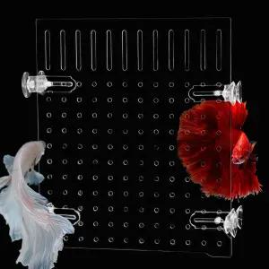 핀비 5갤런 어항 분할기 8개의 PCS 흡입 컵이 있는 아크릴 수족관 베타 물고기를 위한 투명 분리기(사이즈