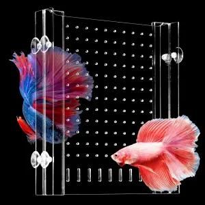 흡입 컵이 있는 스월지 수족관 칸막이 조절 가능한 아크릴 어항 분리기 아래 나열된 10갤런 크기에 적합한