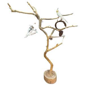 앵무새 횟대 나뭇가지 스텐 앵무새이동장 조류 새장 대형새장 모란새 모이통 스탠다드