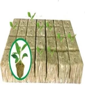 MI0512 수경 재배용 1.5 로크울 스타터 플러그 재배 큐브 28개 1장(소형)