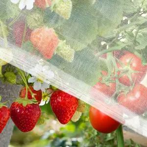 레인플로우 가든 네팅 해충 차단막 - 정원 보호를 위한 10 x 5피트 곤충 메쉬 식물 줄 커버 침대 나무 채소