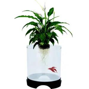 베타 물고기를 위한 펜 플랙스 아쿠아포닉 플랜터 및 수족관 식물과 한 수경 재배 환경을 촉진하는 탱크