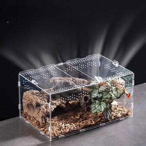 곤충 기르기 채집통 사육통 키우기 곤충채집통 여왕개미 상자 미니 25구경 은신처 특대