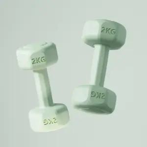 컬러 (그린) 덤벨 바디필 아령 육각 2개세트(2kg)