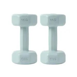 2개세트(1kg) 컬러 (블루) 육각 아령 덤벨 바디필
