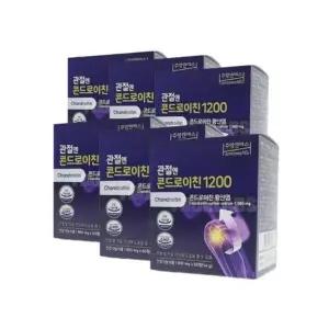 주영엔에스 지성 관절엔 콘드로이친 1200 900mg 360정 6개월분