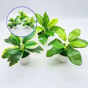 쌍문상회 깔끔한 미니식물 조화화분 거실 홈데코 인테리어