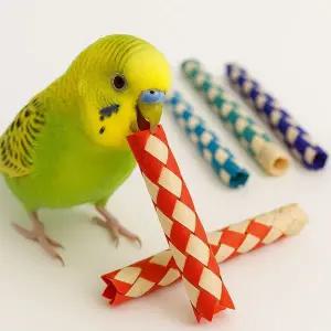 앵무새 입질해소 장난감 용품 훈련 놀이 모란 사랑 앵무 새용품