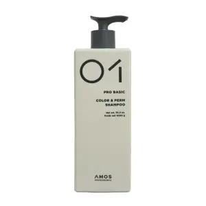 아모스 프로베이직 칼라 앤 펌 샴푸 1000g