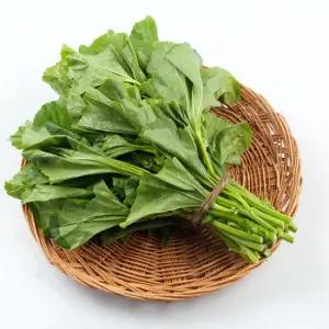 제철미각 신선 아욱 2kg