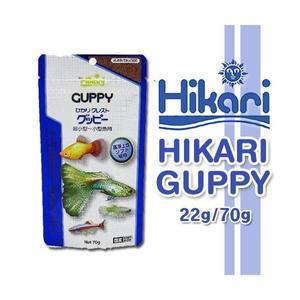 히카리 팬시구피 [70g] 대