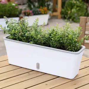 미니정원 자동급수 화분