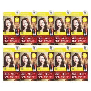 엘지 엘라스틴 염색약 살롱드컬러 밝은갈색 X 10개