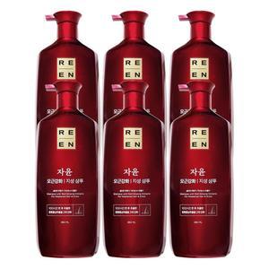 리엔 자윤 오리엔탈 모근강화 지성 샴푸 950mL x 6개
