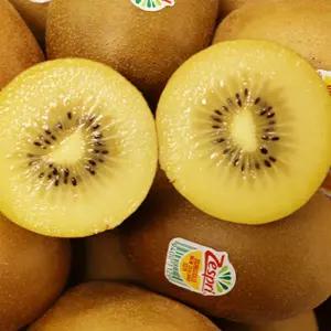 제주 제스프리 골드키위 20과 (특대 점보) 제주키위 선물 산지발송 국내산