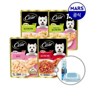 시저 파우치 70gx16개 골라담기+애견칫솔+베베숲물티슈1팩