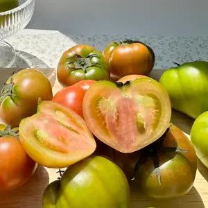 대저 짭짤이토마토 2.5kg / 정품 S과