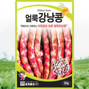 세계종묘 얼룩강낭콩 씨앗 30g 비덩굴성 토종 얼룩 강낭콩씨 종자