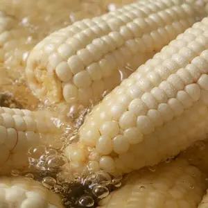 [팜쿡]괴산 삶은 대학찰옥수수 실속 (못난이)냉동 20개(팩당4개)