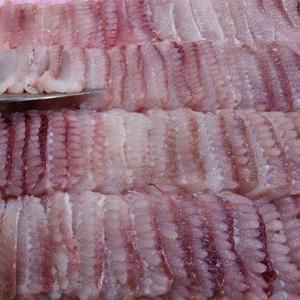 홍어회 생홍어 생홍어회 모든순간 국산 홍어 1kg 생선회