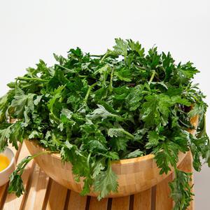 [더조은푸드] 거문도 해풍 쑥 500g 1kg 무농약 노지재배 봄쑥 생쑥