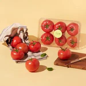 친환경 토마토 1.5kg/팩
