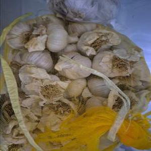 24년 친환경 무농약 유황먹인 단양마늘 2kg 463가지 잔류검사 한지형(24년/무농약마늘/특/2kg)