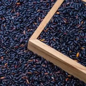 ( 2025년산 햇곡 ) 국산 찰흑미 1kg (500g X 2봉)