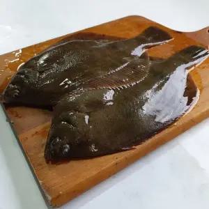 국산 급냉 풀도다리 1kg