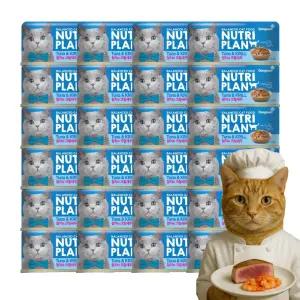 동원 뉴트리플랜 고양이캔 참치와크릴새우 160g 24개