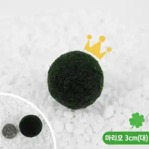 국내제조 건강한 마리모 대 1p 수경식물 애완식물 3cm