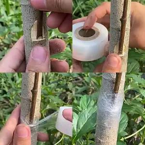 느낌상점 식물테이프 수술 재생 테이프 나무 접목 수태 접붙이기 원예